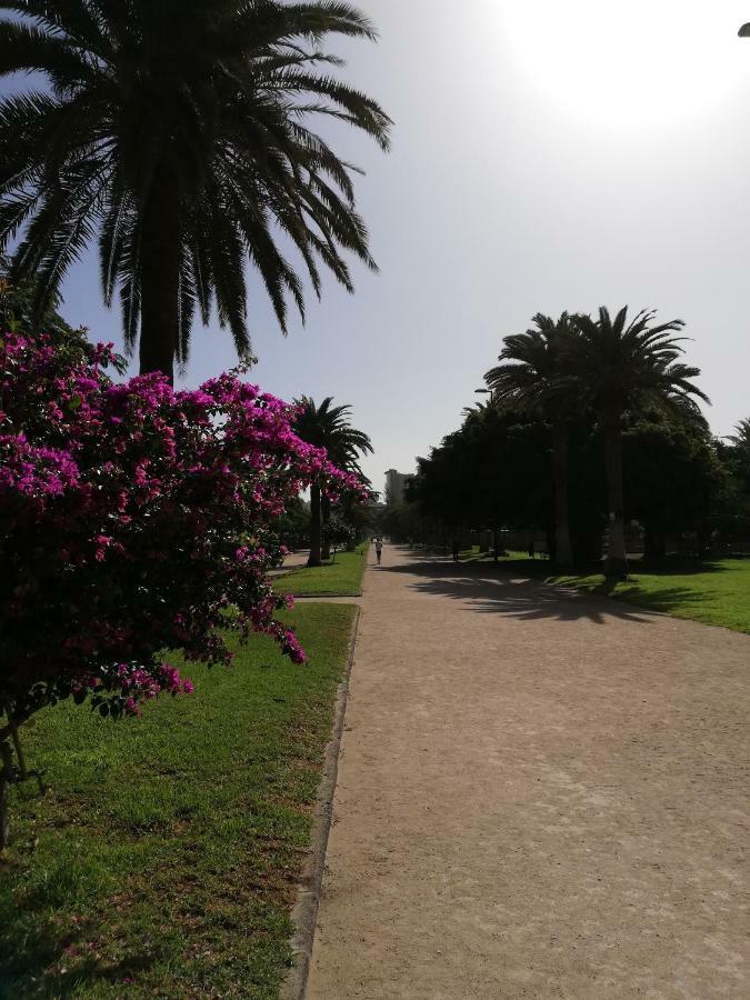 Apartamento La Marina-Ciudad Jardin 大加那利岛拉斯帕尔马斯 外观 照片